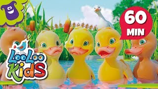 Five Little Ducks - Great Educational Songs for Children | LooLoo Kids