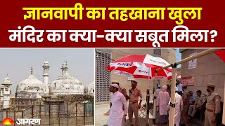 Gyanvapi ASI Survey Updates: ज्ञानवापी के तहखाना से बड़ा राज खुलेगा | Uttar Pradesh News | Varanasi