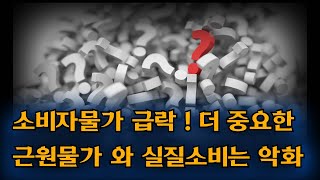 소비자물가 급락!  더 중요한 근원물가 와 실질 소비는 악화 !!