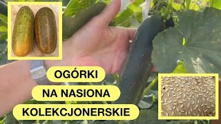 Nasiona Ogórków - Jak Pobrać