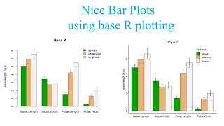 How to make and enhance barplot with data labels, error bar and legend using R programming?