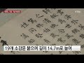 한겨울에도 변찮는 푸르름 170여년 세월을 잇다 ytn