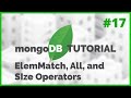 MongoDB in NodeJS - Array Query Operators: ElemMatch, All, and Size (2020) [Episode #17]