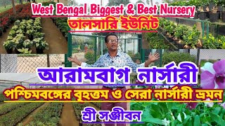 পশ্চিমবঙ্গের বৃহত্তম ও সেরা আরামবাগ নার্সারীর তালসারি ইউনিট||Biggest Nursey Tour||Sree Sanjiban||