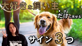 【しつけがしやすい】犬が大好きな飼い主様だけに見せる大好きサイン３つはこれ！