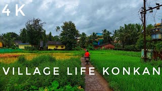 Village life in Konkan | 4K #shorts