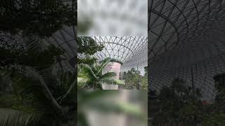 Tam bir turist modu! Bir Macera Başlıyor ✈️ | Jewel Changi Havaalanı