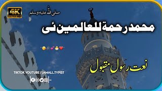 محمد رحمۃ للعالمین ئی ❤️ | Pashto Beautiful Naat sharif | New Pashto Naat #jamali_typist