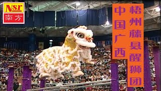 第六届 I云顶世界狮王争霸战 I 6th Genting World Lion Dance Championship 2004  I  决赛第三队伍：中国广西梧州藤县醒狮团【Part 4】