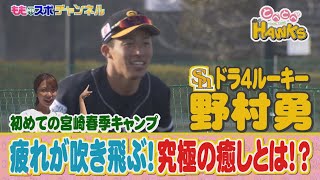 【公式】とべとべホークス㊺野村勇選手 キャンプの疲れも吹き飛ぶ癒しとは!?（2022/2/27 OA）｜テレビ西日本