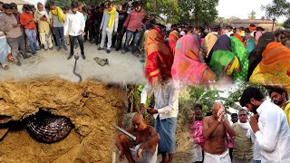 बहुत ही बड़ी विडंबना, कई वर्षो से इस झोपड़ी में रह रहे नाग नागिन ने जब महिला को डस लिया और हो गई मौत