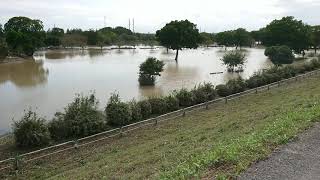 台風19号の後、3日目の彩湖