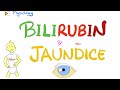 Bilirubin Metabolism & Jaundice - Gastrointestinal (GI) Physiology & Pathology- Physiology Series