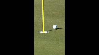 DJ was THIS close to an albatross 😮