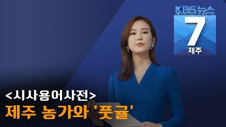 [7시뉴스제주/200615 시사용어사전] '풋귤'이란?