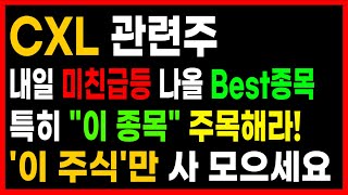 ★CXL 관련주★ 내일 미친급등 나올 Best 종목!! 특히 \