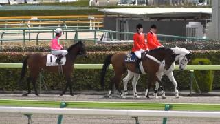 福島競馬再開！