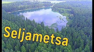 Seljametsa järv. Estonia 🇪🇪