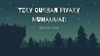 Tere qurban pyary Muhammad || slow reverb || new Qawali 2023 || nfak lofi