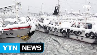 [영상] '눈 폭탄'에 갇힌 제주...꽁꽁 얼어붙은 한반도 / YTN