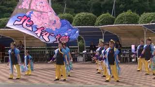 北桜連／あげお元気祭り2019@A会場