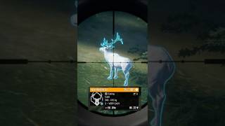 Albino elk 🔫🦌 #callofwild #deer #hunting #song