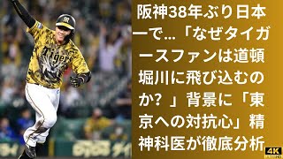 阪神38年ぶり日本一で…「なぜタイガースファンは道頓堀川に飛び込むのか？」背景に「東京への対抗心」精神科医が徹底分析