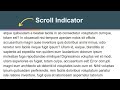 Scroll Indicator using html css and javascript
