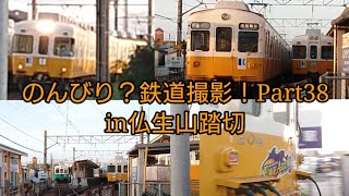 のんびり鉄道撮影！Part38(in仏生山踏切)