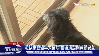 毛孩家庭過年大掃除 慎選清潔劑兼顧安全｜TVBS新聞 @TVBSNEWS01