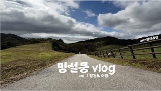 vlog | 양을 처음 본 웰시코기 반응은?? 한번 와봤다고 여유로운 보더콜리! 밍키 설이 뭉치 강원도 여행 브이로그