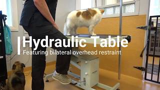 Hydraulic Grooming table