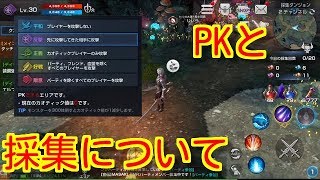 【リネレボ】PKと採集ダンジョンについて解説！【リネージュ２レボリューション】