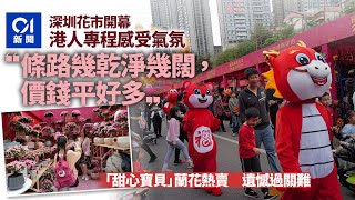 深圳花市開幕｜港人感受氣氛讚｢乾淨開闊價又平｣　遺憾蘭花過關難｜01新聞｜北上深圳｜新春｜花市｜年宵｜羅湖