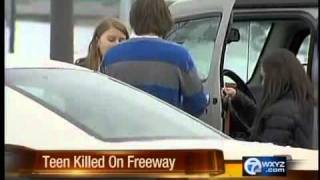 Novi High School student killed on Southfield Freeway