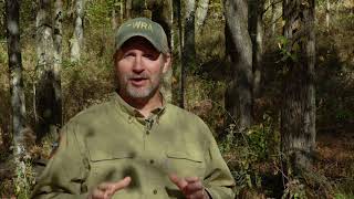 Muzzleloader safety reminder