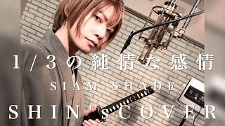 1 3の純情な感情 Mp3 1 3の純情な感情 Mp3