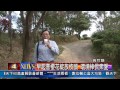 1030206觀天下新聞08 瑞芳區早起會櫻花綻放枝頭 環境棒民眾愛