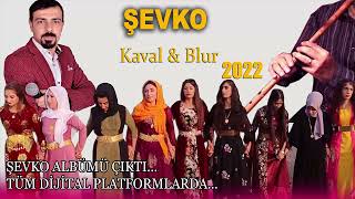 ŞEĞMUSE XÜRSİ ŞEVKO KAVAL BLUR REMİX 2022 Aşiret Düğünü #şevkobilur2022