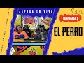 EL PERRO (Ft. Dormiste Rancho) / Zapada EN VIVO en UN POCO DE RUIDO !