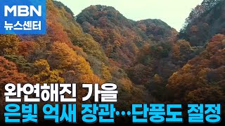 황매산 억새에 감탄사…추수 앞둔 황금 들녘도 장관 [MBN 뉴스센터]