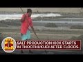 Salt Production kick starts in Thoothukudi after Floods | Thanthi TV