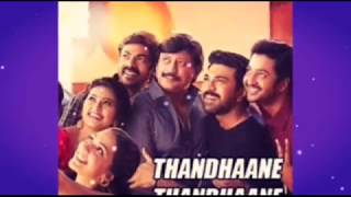 Thandane Thandane Full Video Song Lyrics In Vinaya Vidheya Rama