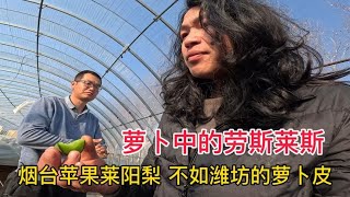 开车几千公里来到山东潍坊，听说潍坊萝卜很出名，小伙去一探究竟【小明的流浪旅行】