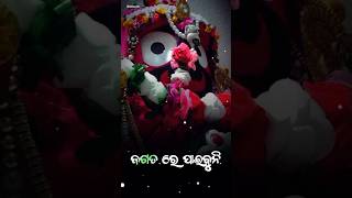 ଜଗତ ରେ ପାରିବୁନି ଏମିତି ଠାକୁର ଟିଏ Odia Jagannath Bhajan Status watsapp Videos Songs #shortsfeed 🙏🚩🔥🔥🔥🔥