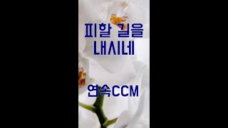 [ CCM찬양, 기독교음악, 크리스챤뮤직 ] 241115_피할 길을 내시네 외  [구독은 사랑]