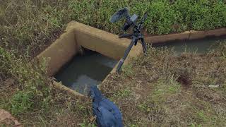 土手沿いの水路でタナゴ釣り9