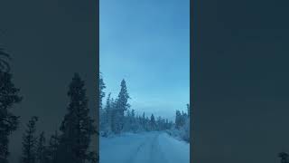 The road to the COLDEST VILLAGE on Earth - Kolyma highway in Yakutia, Russia