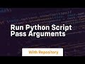 run python script pass arguments