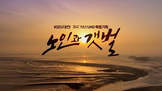 KBS대전 UHD 특별기획 노인과 갯벌 / KBS대전 20220628 방송